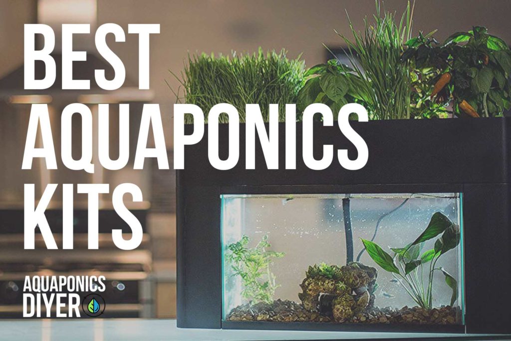 aquaponics kits
