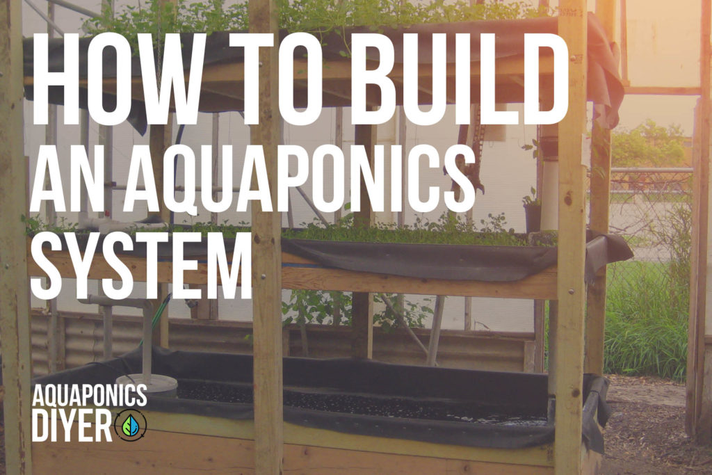 how to build an aquaponics system